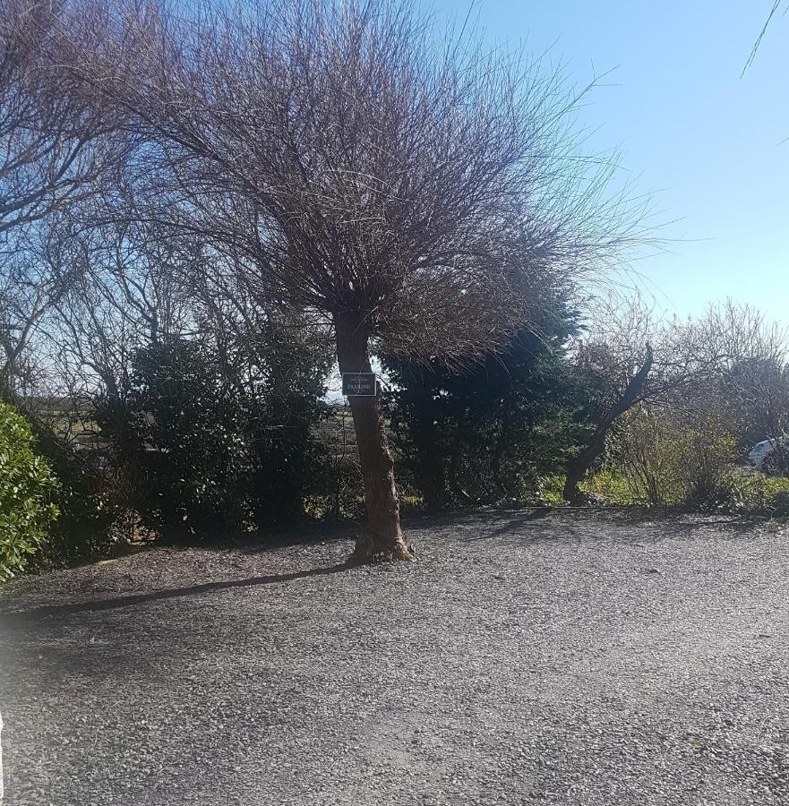 Mountain View Apartment - Short Drive To Beaches Bryngwran Exterior photo